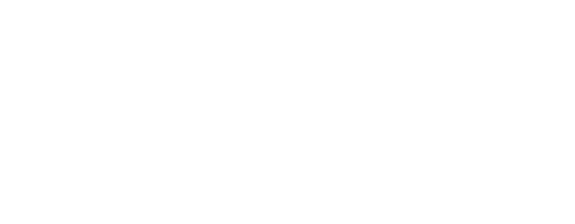 Zealver Logo Wide White 1920x750px PNG